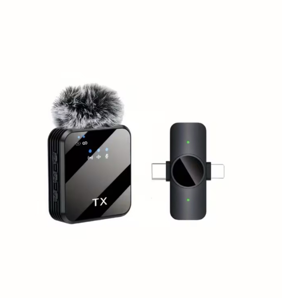 Portable Wireless Microphone